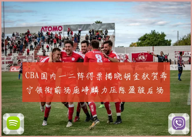CBA国内一二阵得票揭晓胡金秋贺希宁领衔前场庞峥麟力压陈盈骏后场