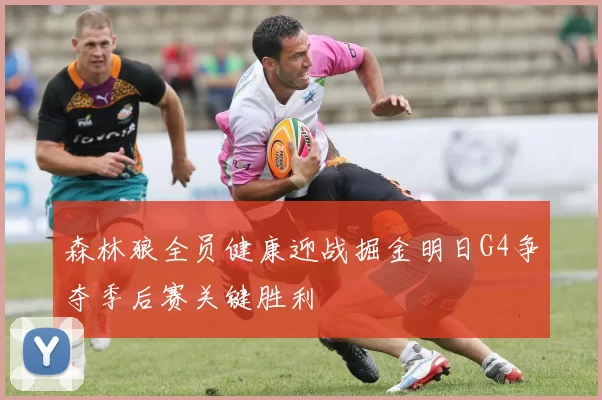 森林狼全员健康迎战掘金明日G4争夺季后赛关键胜利