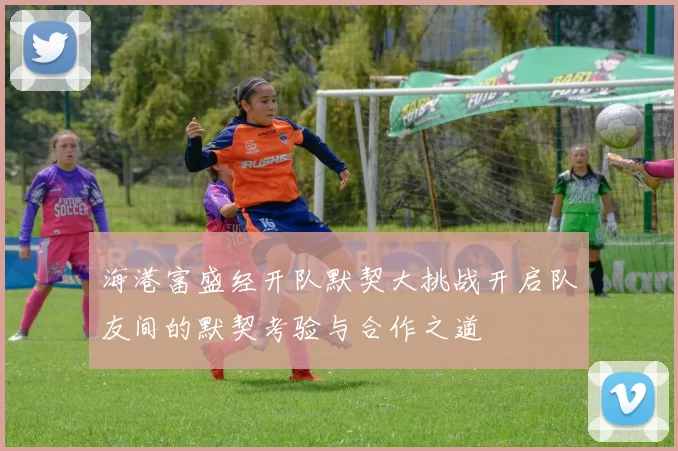 海港富盛经开队默契大挑战开启队友间的默契考验与合作之道